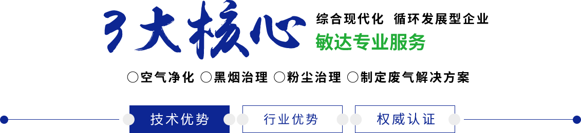 插女人下面在线免费观看嗯嗯啊啊啊敏达环保科技（嘉兴）有限公司